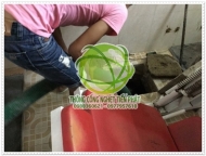 Cách khử mùi cống trong nhà vệ sinh chung cư hiệu quả 