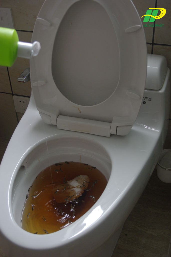 Bồn cầu bị tắc nghẽn - dấu hiệu chứng tỏ bể phốt đầy
