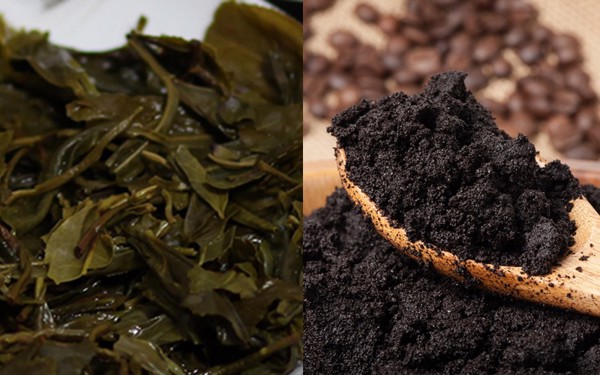 Khử m&ugrave;i h&ocirc;i bằng b&atilde; c&agrave; ph&ecirc;, b&atilde; tr&agrave;