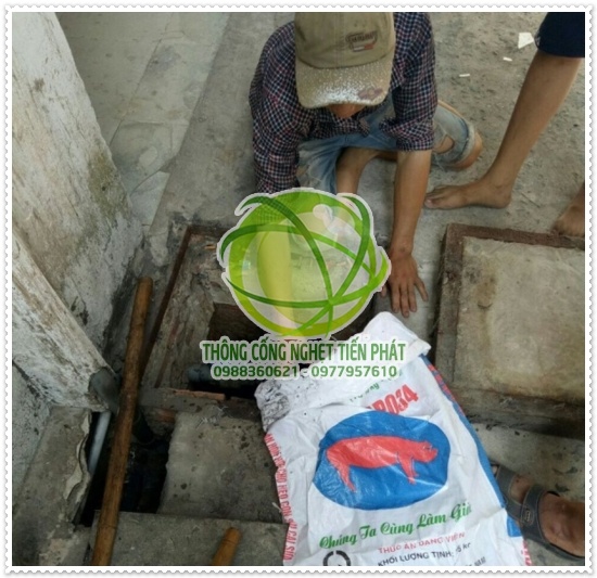 sử dụng vi sinh EcoBlock 