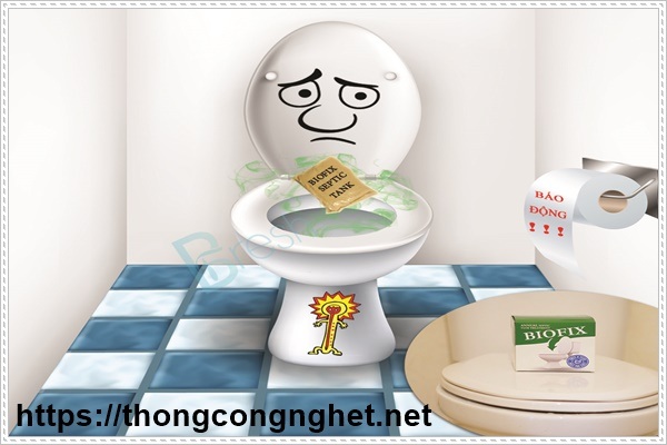 Bột th&ocirc;ng tắc bể phốt mua ở đ&acirc;u v&agrave; những loại th&ocirc;ng dụng