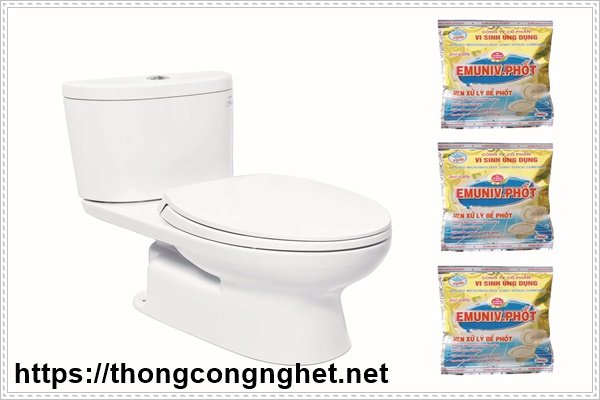 Bột th&ocirc;ng tắc bể phốt mua ở đ&acirc;u v&agrave; c&aacute;ch sử dụng