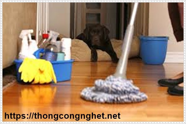 M&ugrave;i khai nước tiểu trong ph&ograve;ng.