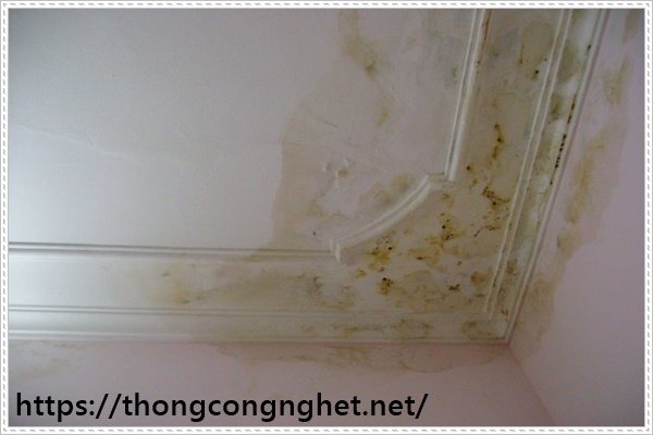 xử l&yacute; ống tho&aacute;t nước s&agrave;n bị tắc nghẽn đơn giản