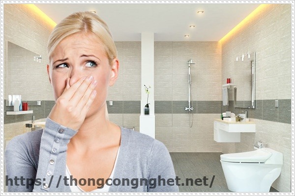 Cách khử mùi hôi trong nhà
