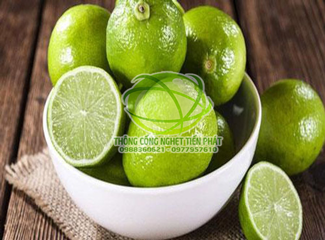 Khử m&ugrave;i h&ocirc;i nh&agrave; vệ sinh bằng chanh