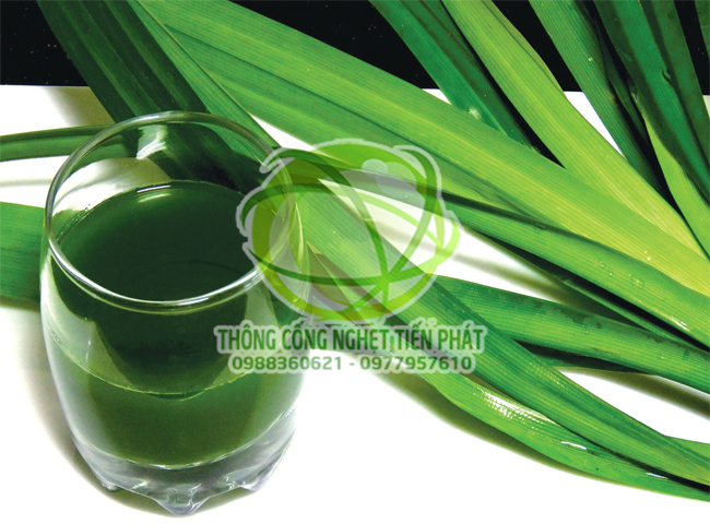 L&agrave;m thơm nh&agrave; vệ sinh bằng l&aacute; dứa