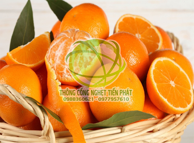 Khử m&ugrave;i h&ocirc;i trong ph&ograve;ng k&iacute;n bằng vỏ cam 