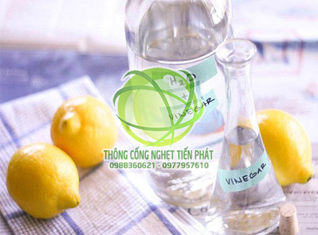 tẩy vết nước chè trên sàn nhà bằng giấm ăn