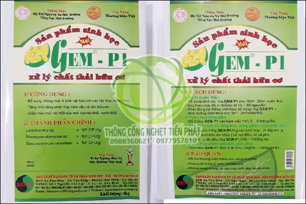 Xử lý mùi hôi bể tự hoại bằng chế phẩm sinh học